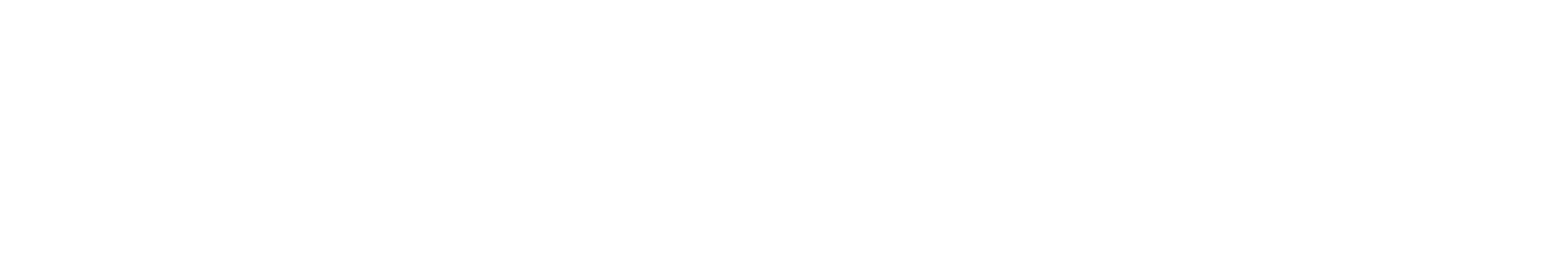 Nordstern Classic Logo